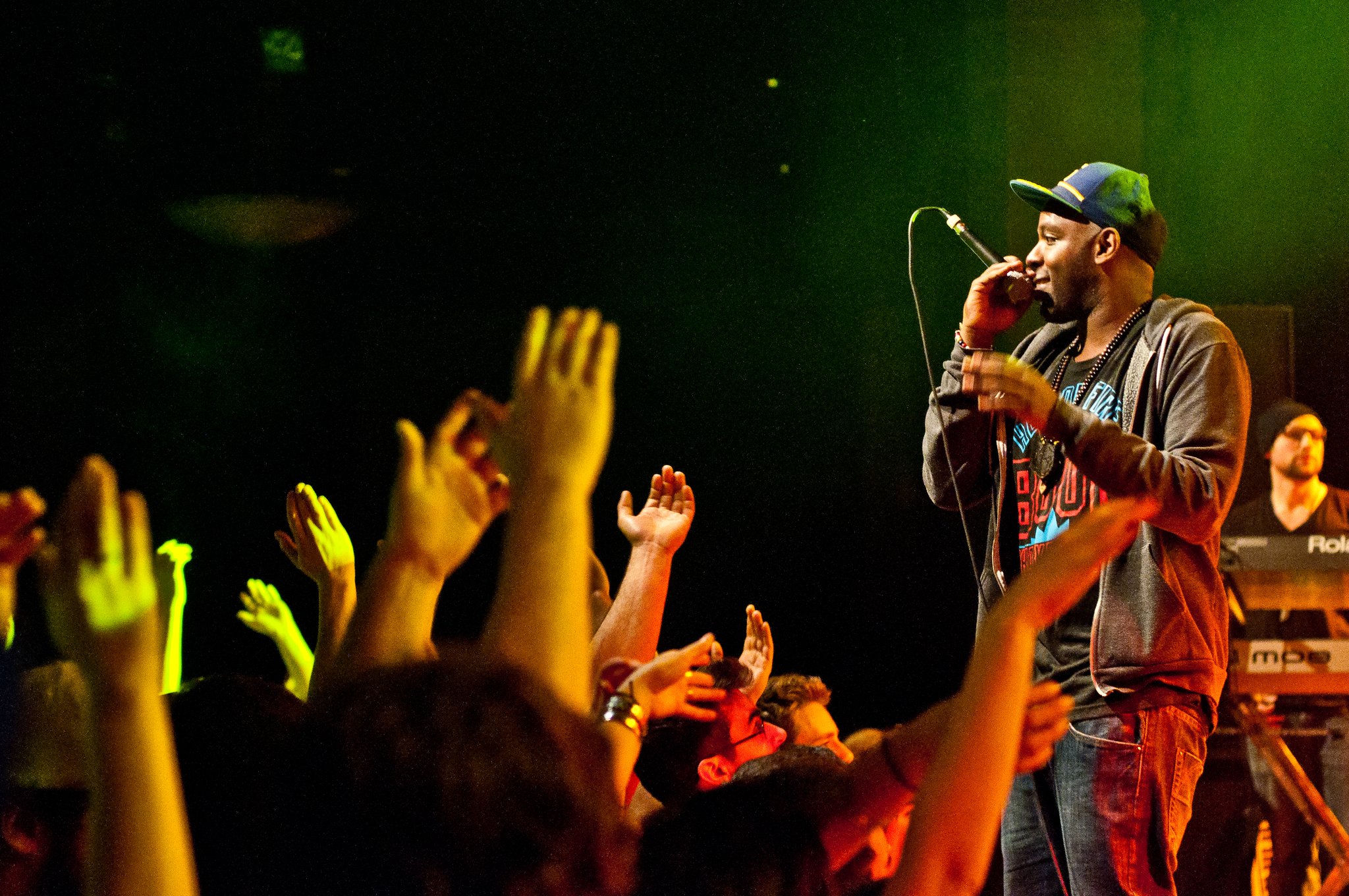 Shad - photo 10