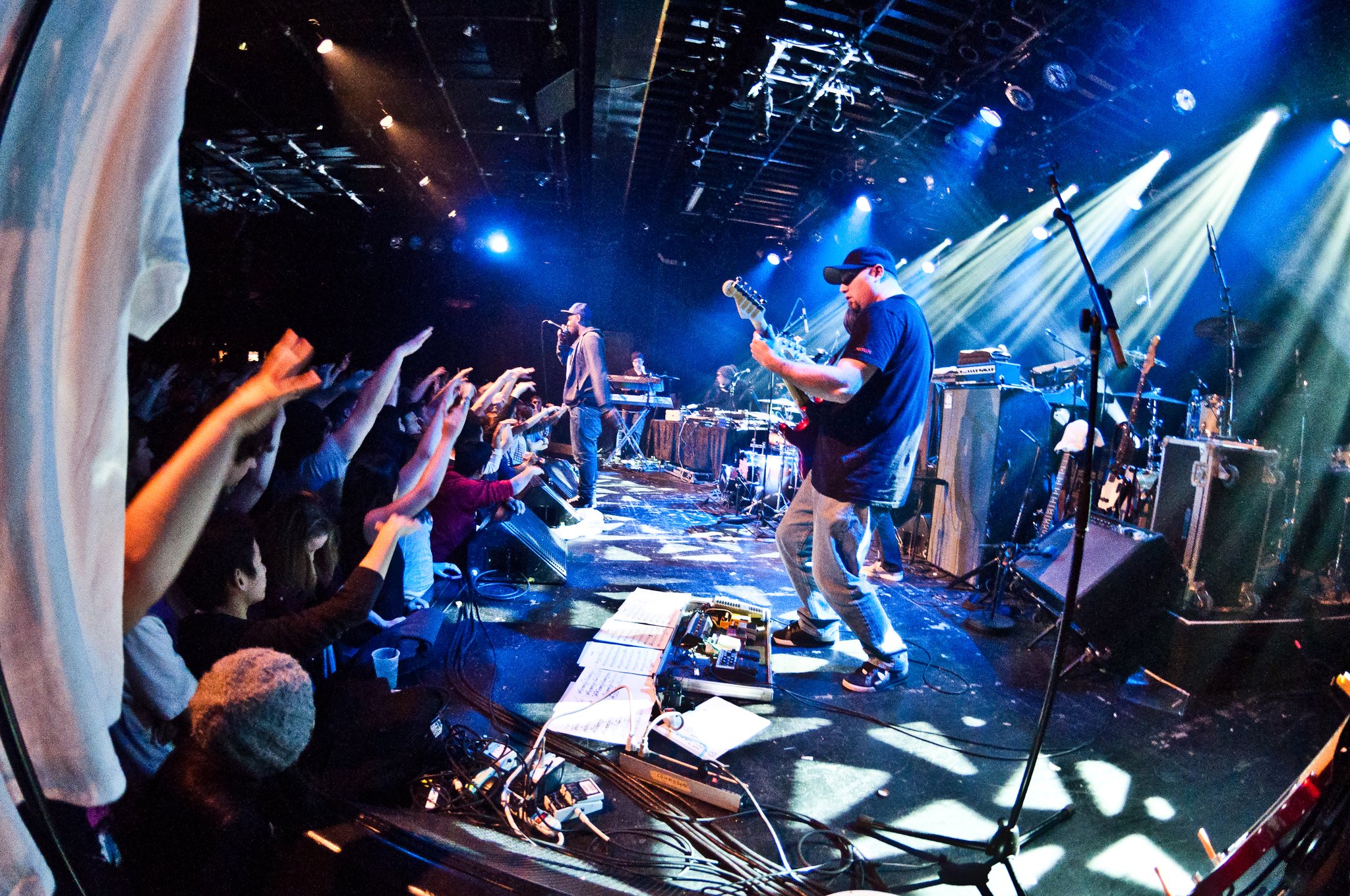 Shad - photo 11