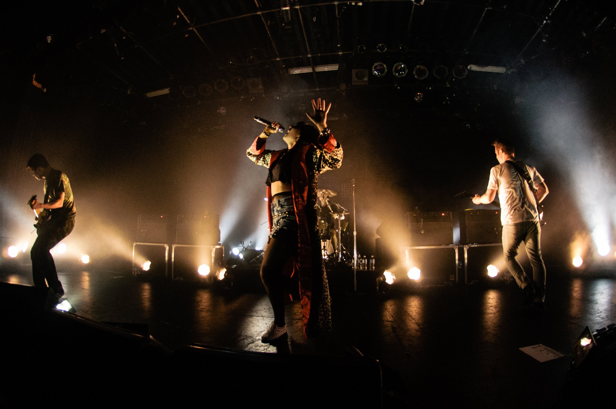 Sleigh Bells - photo 3