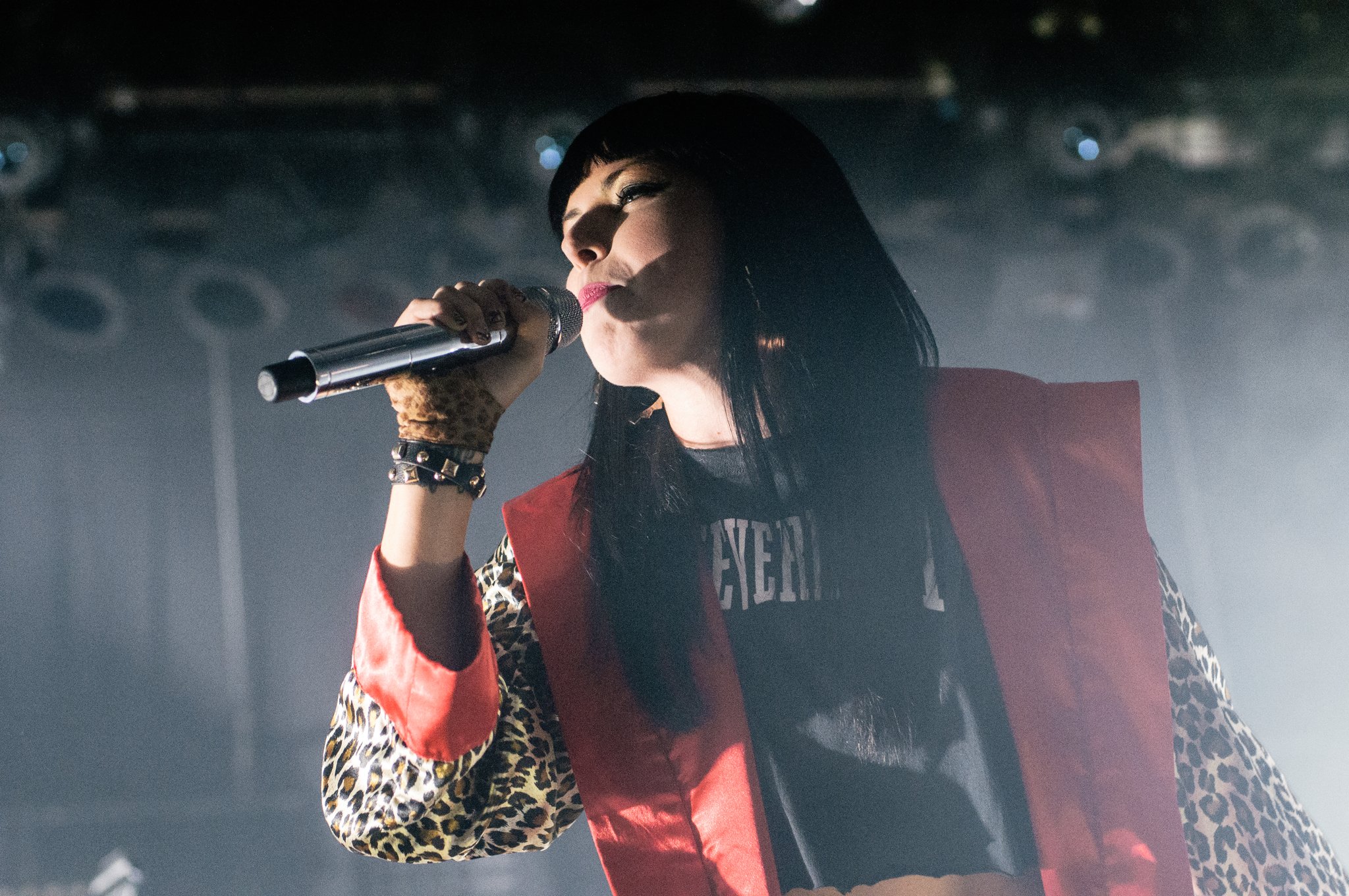 Sleigh Bells - photo 6