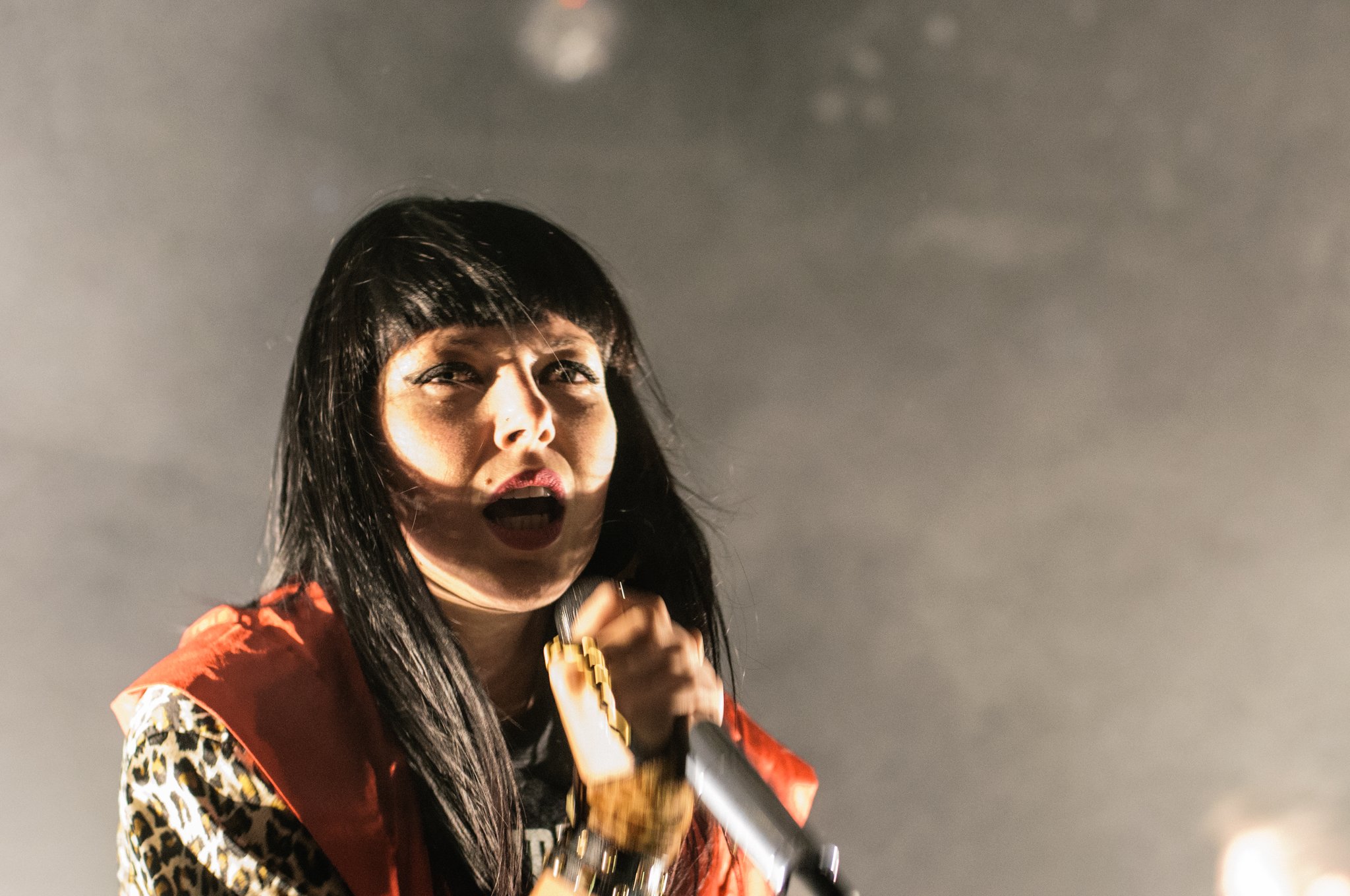 Sleigh Bells - photo 13