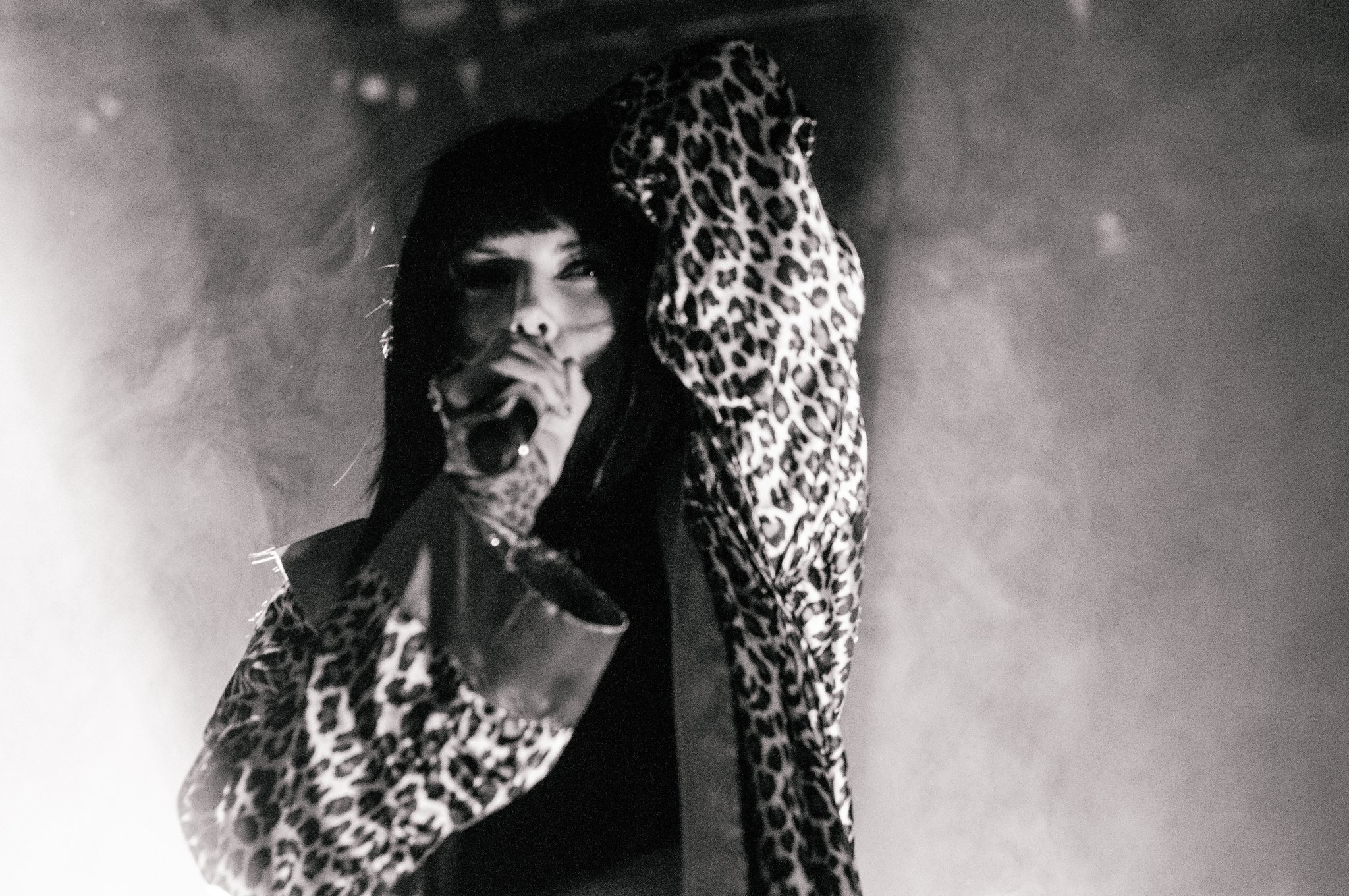 Sleigh Bells - photo 14