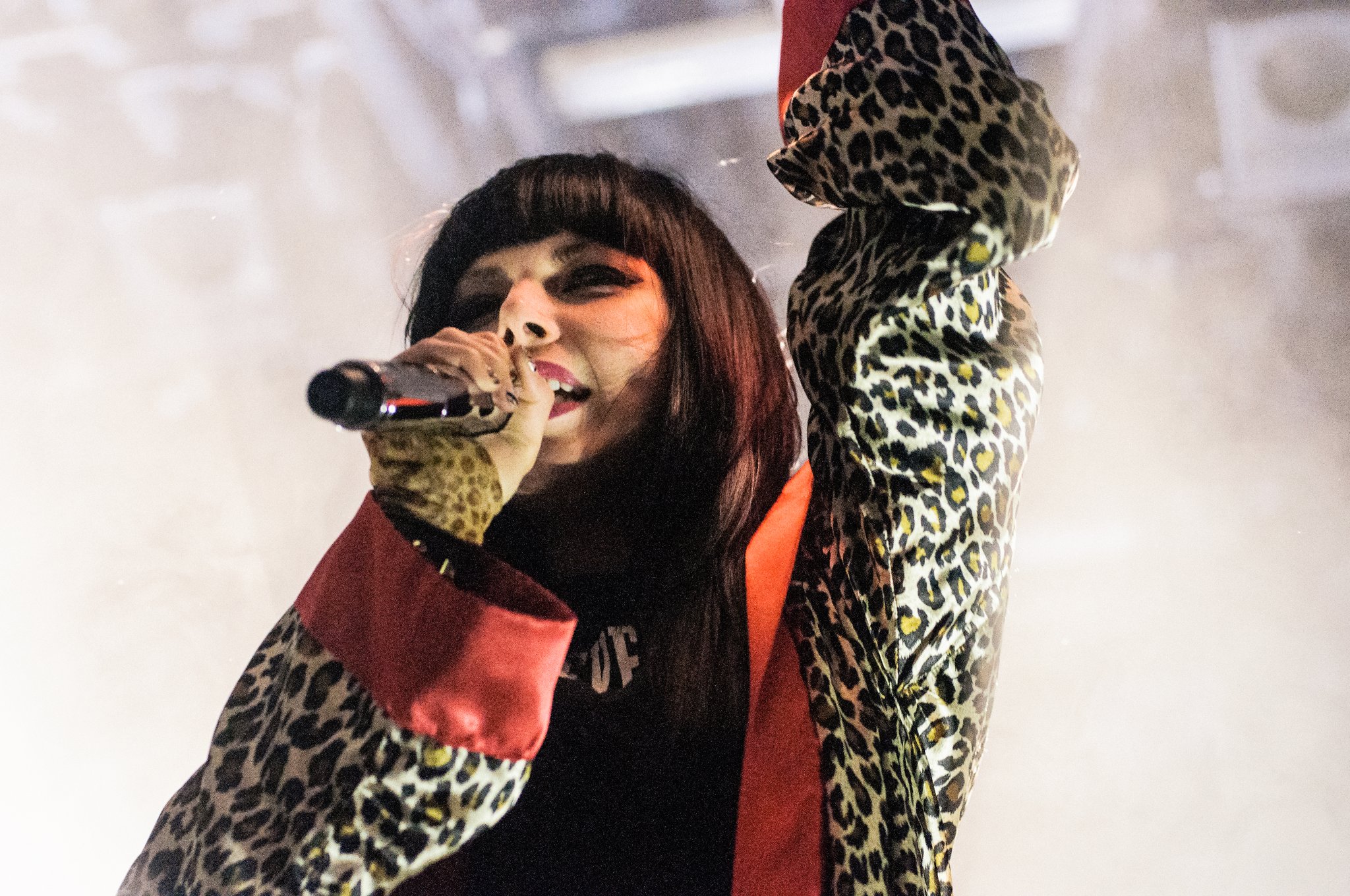 Sleigh Bells - photo 15