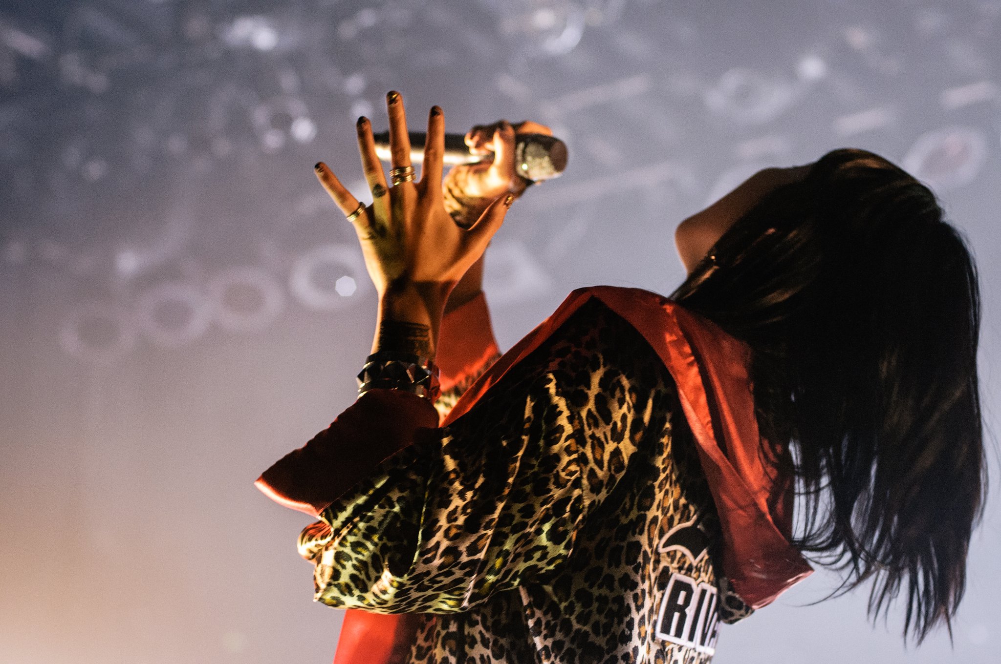 Sleigh Bells - photo 16