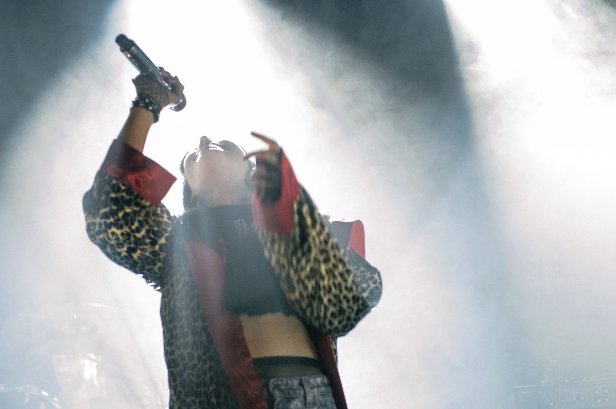 Sleigh Bells - photo 17