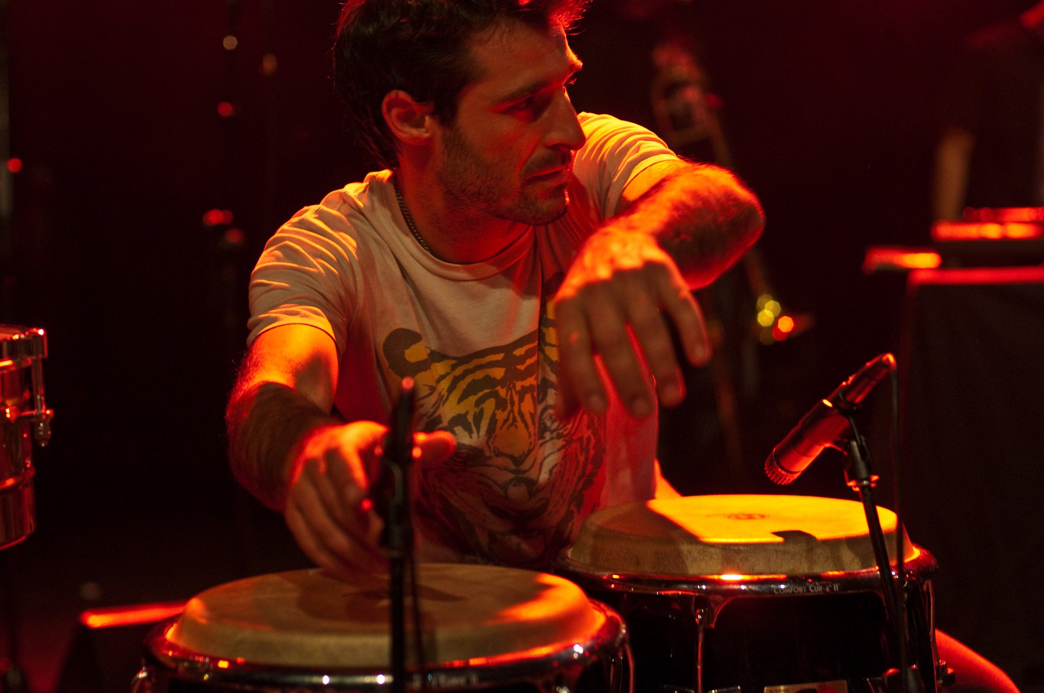 The Cat Empire - photo 8