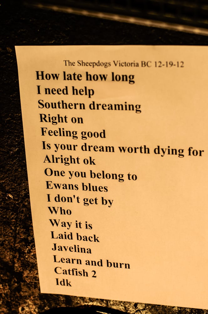 The Sheepdogs - photo 16