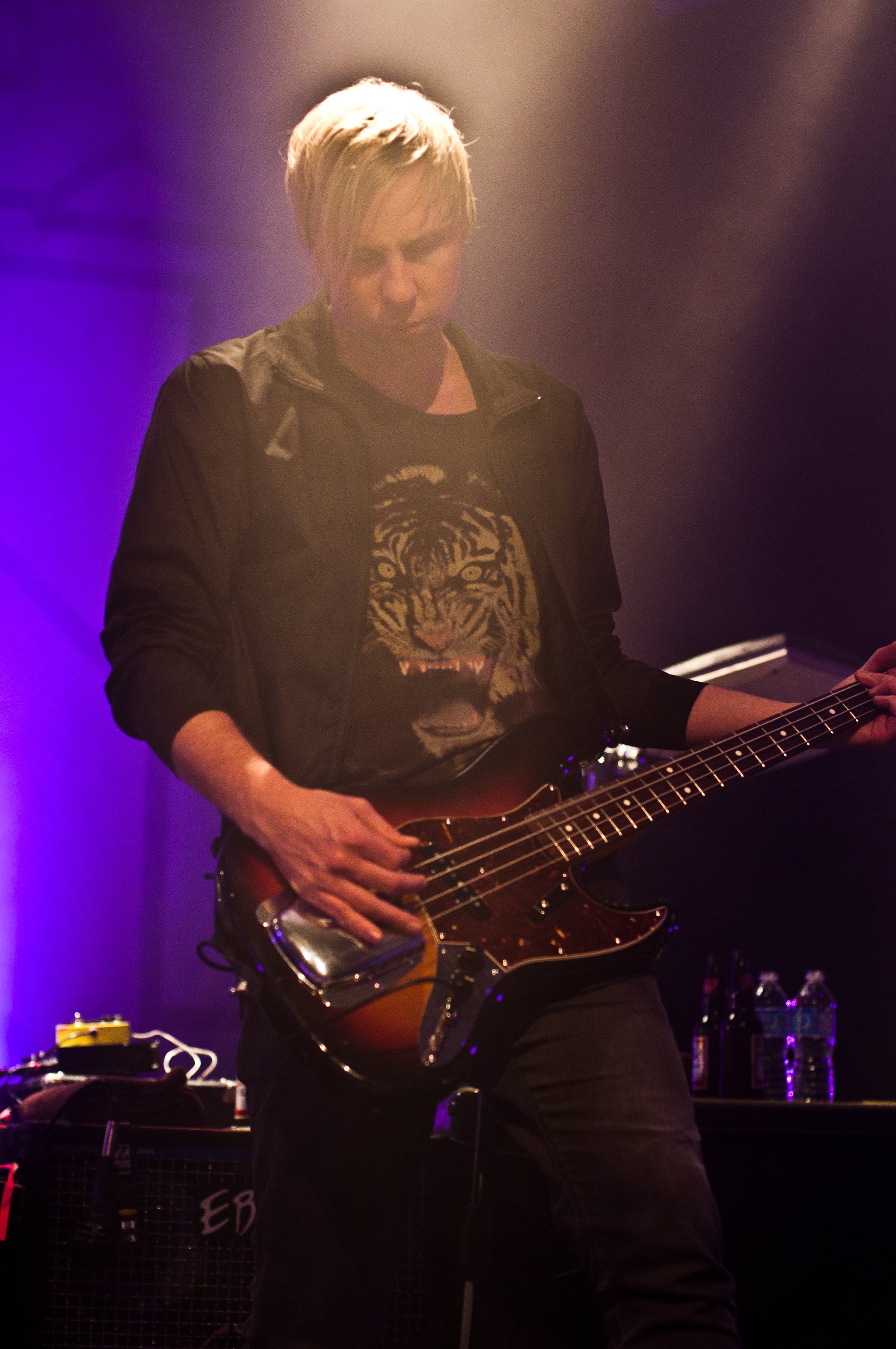 The Sounds - photo 10