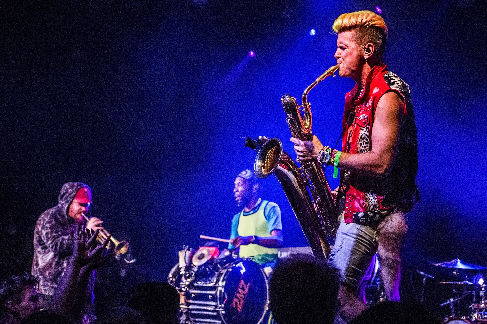 Too Many Zooz - photo 13