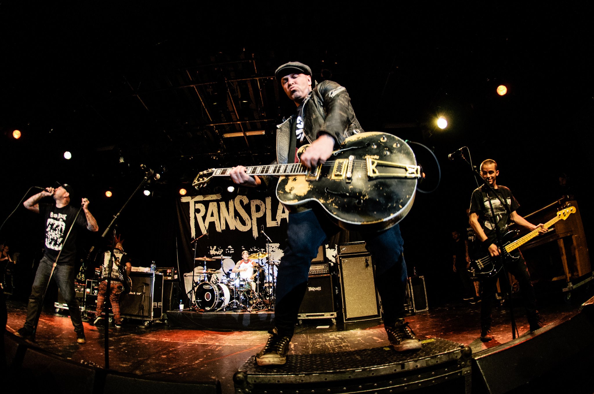 Transplants - photo 4