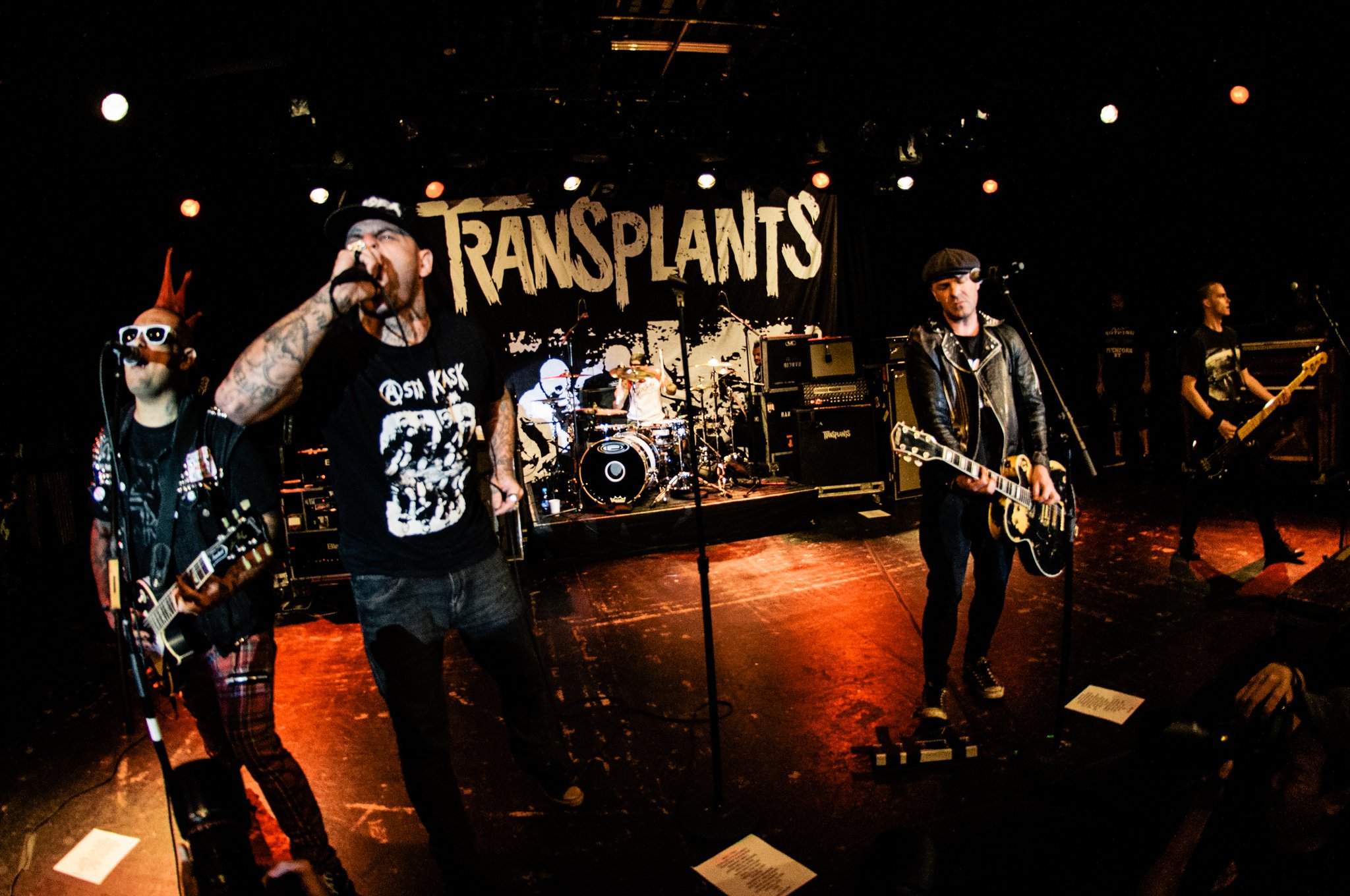 Transplants - photo 5
