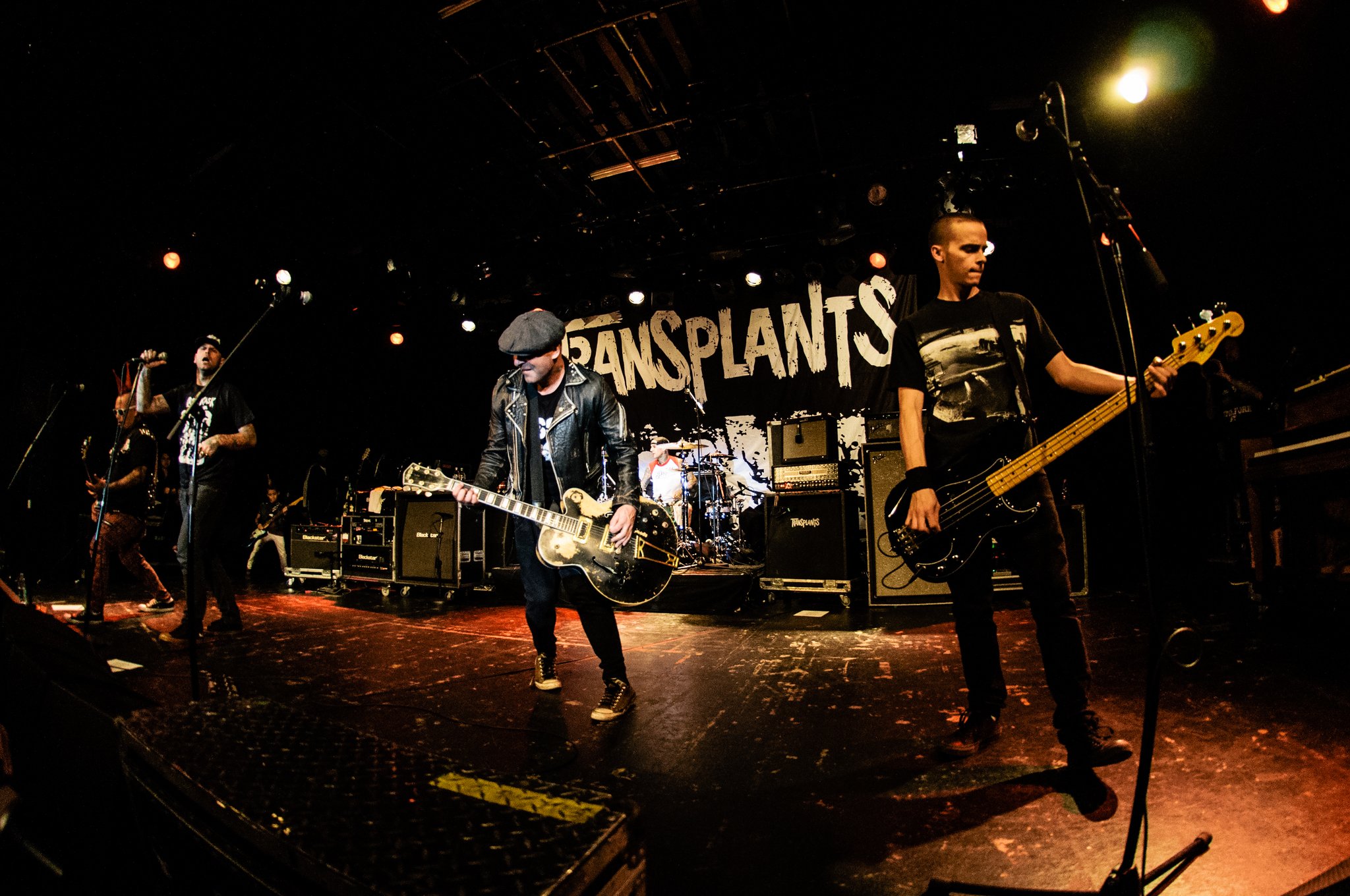 Transplants - photo 8