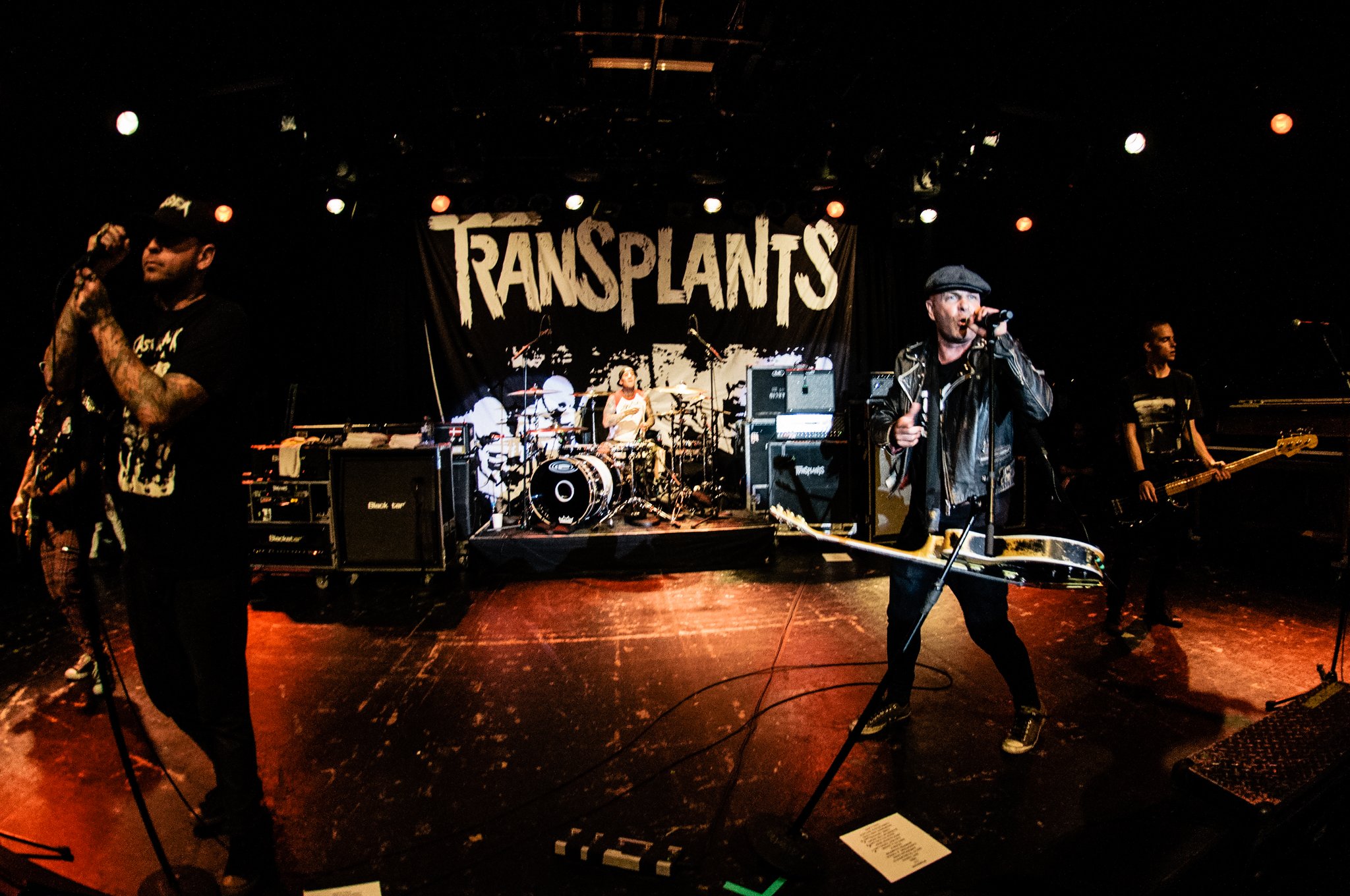 Transplants - photo 12
