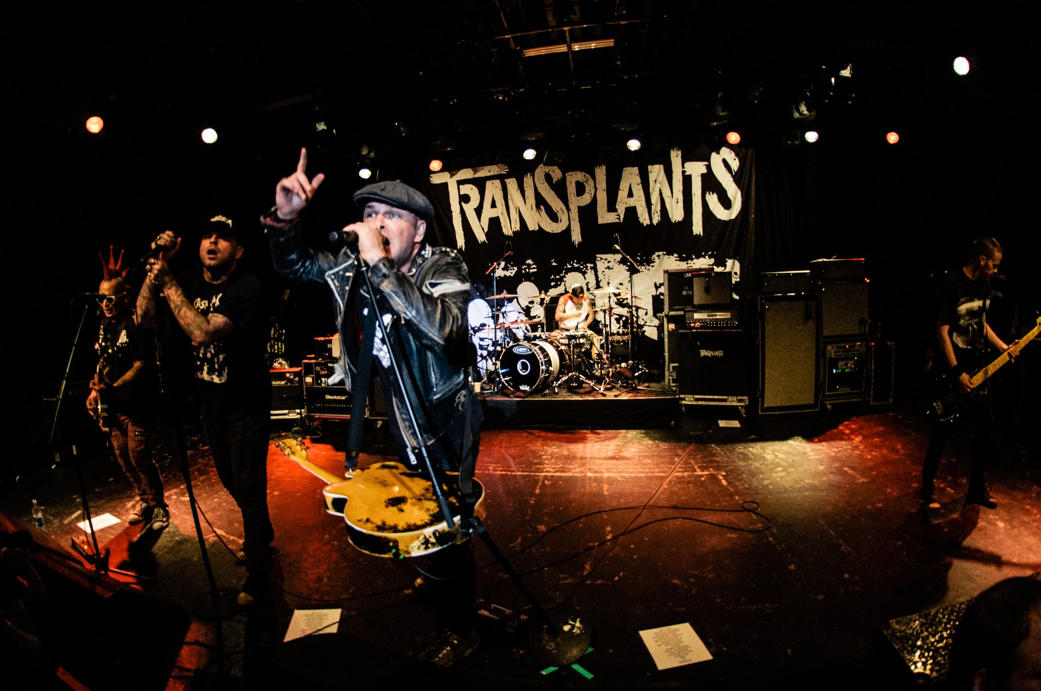 Transplants - photo 13