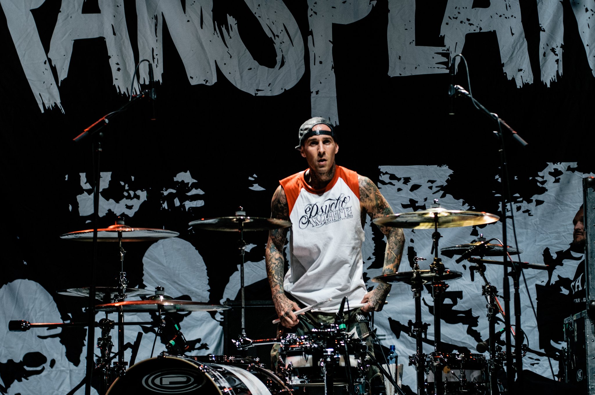Transplants - photo 26