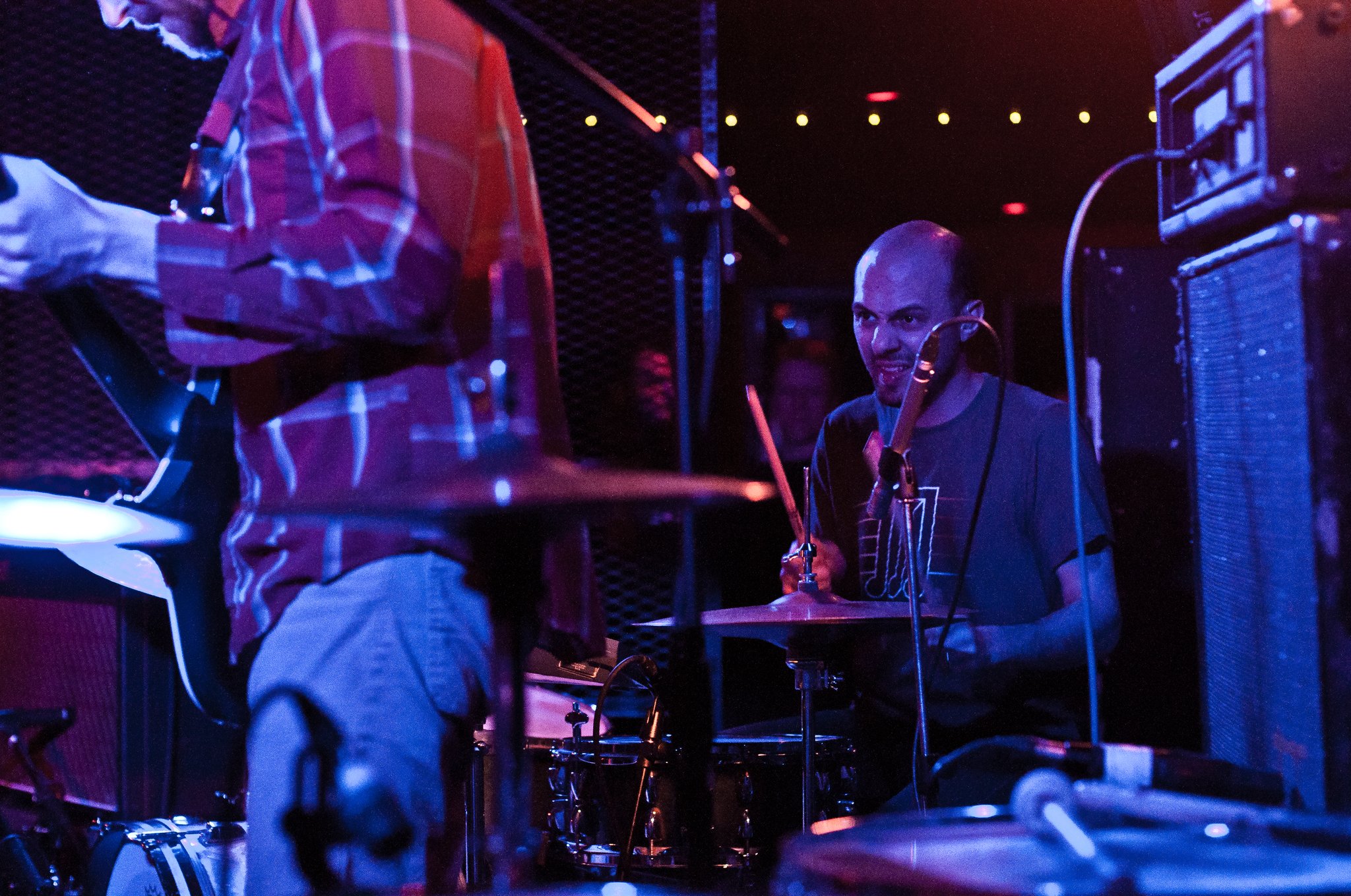 White Rabbits - photo 10
