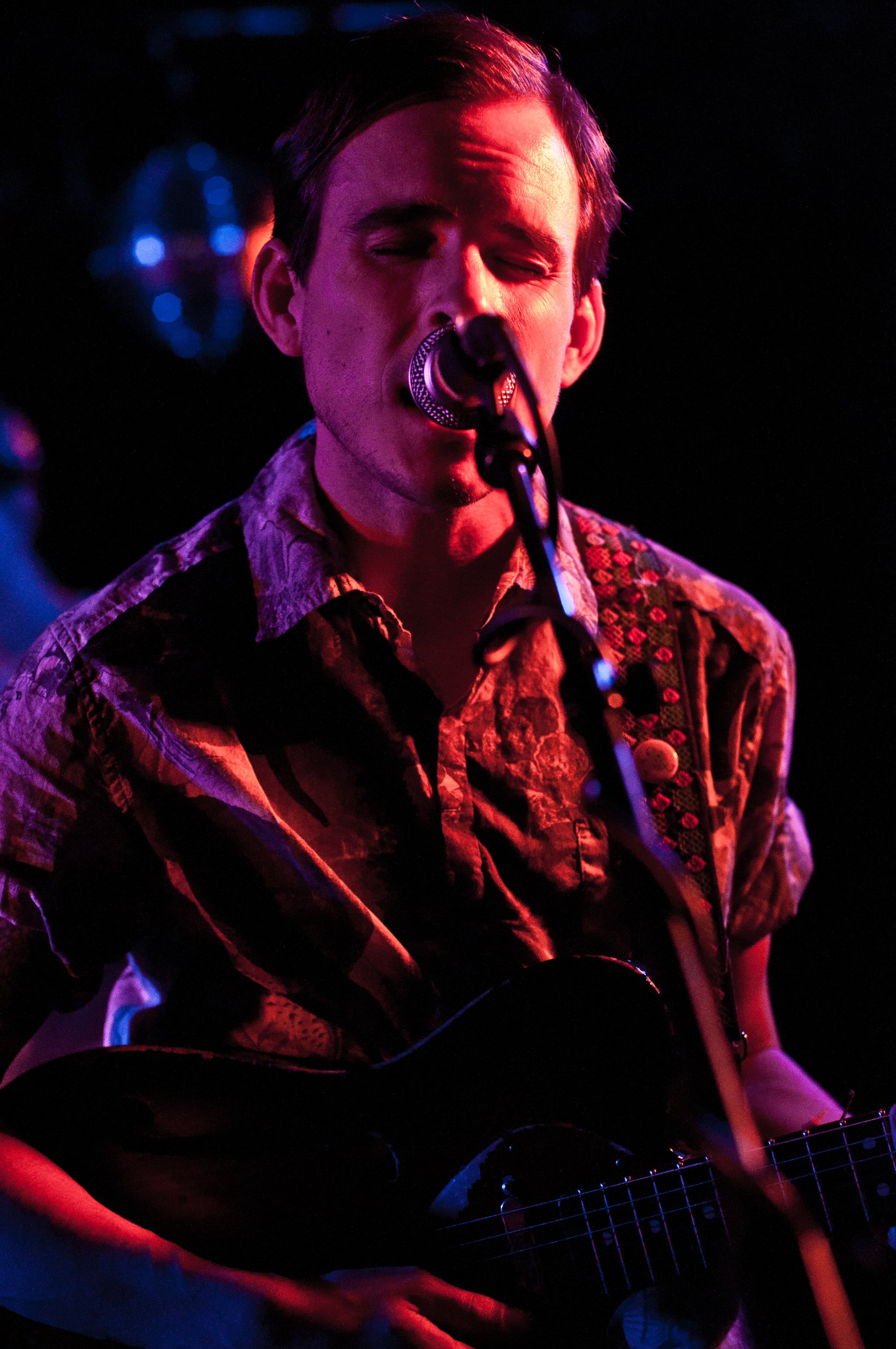 White Rabbits - photo 14