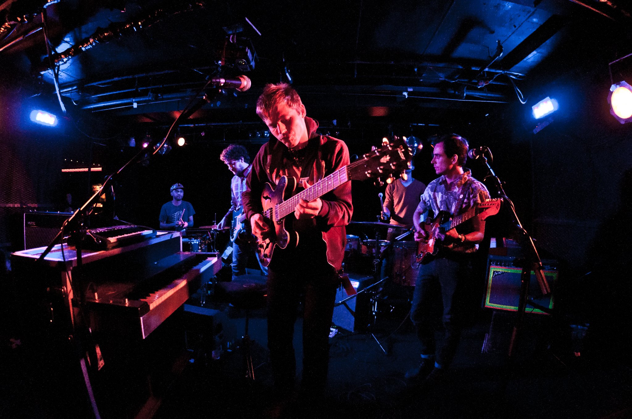 White Rabbits - photo 15