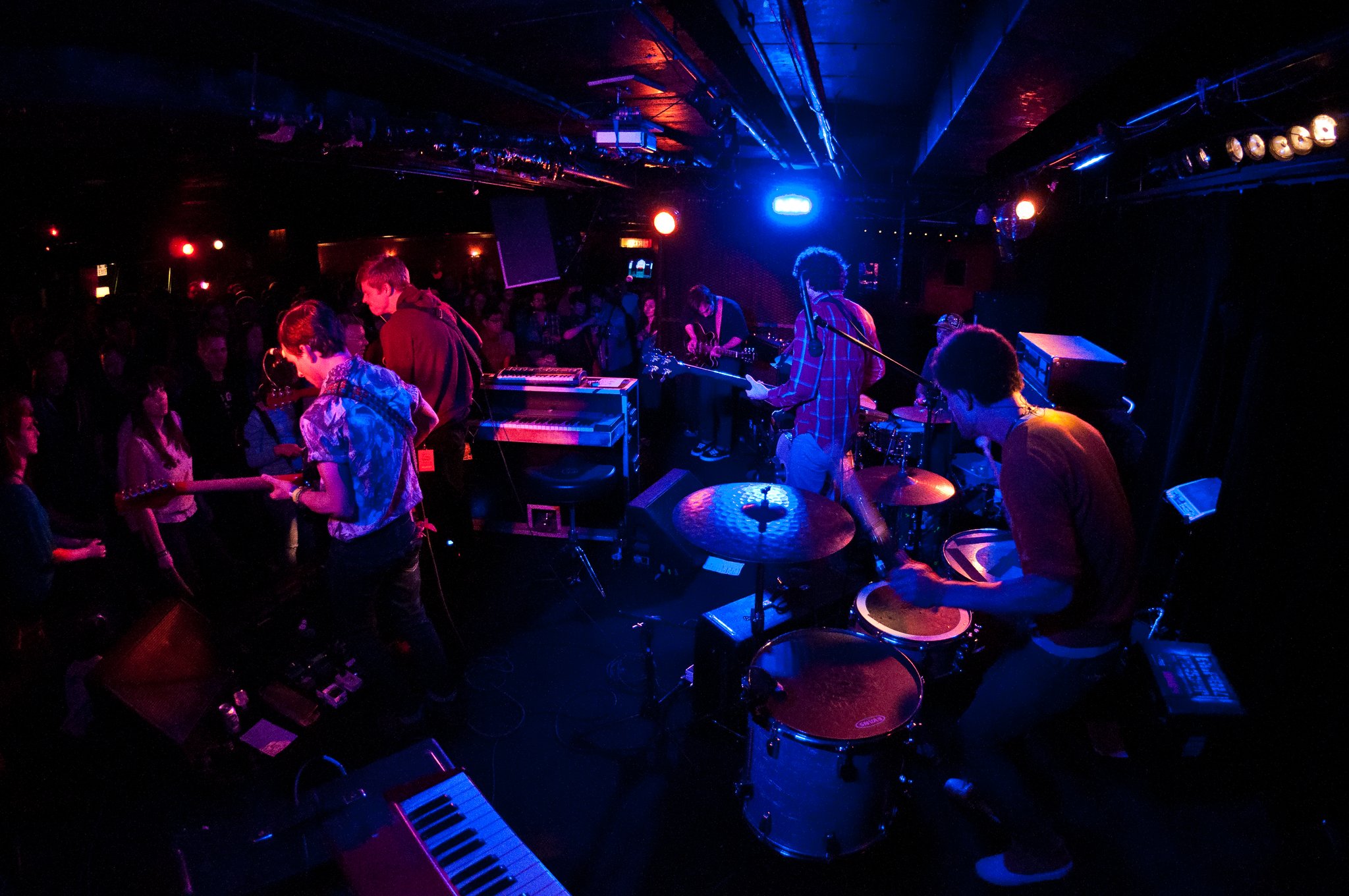 White Rabbits - photo 17