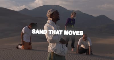 Animal Collective Share “Sand That Moves” Video