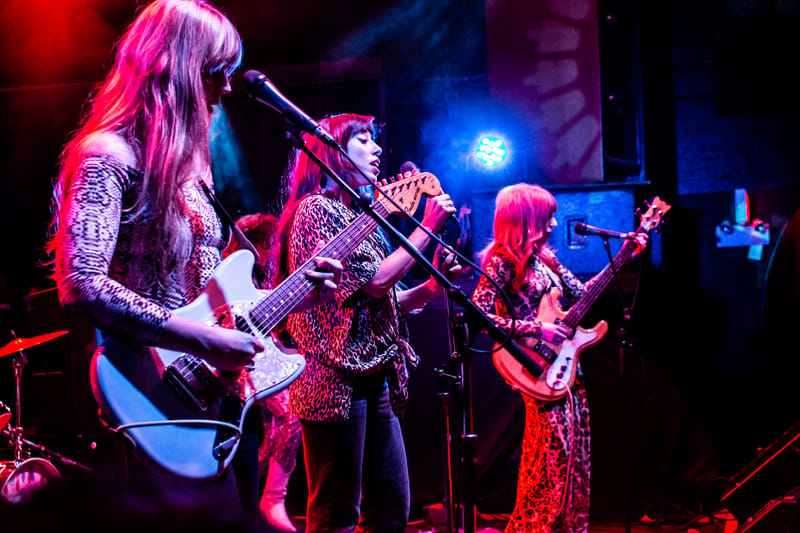 Habibi at Fox Cabaret