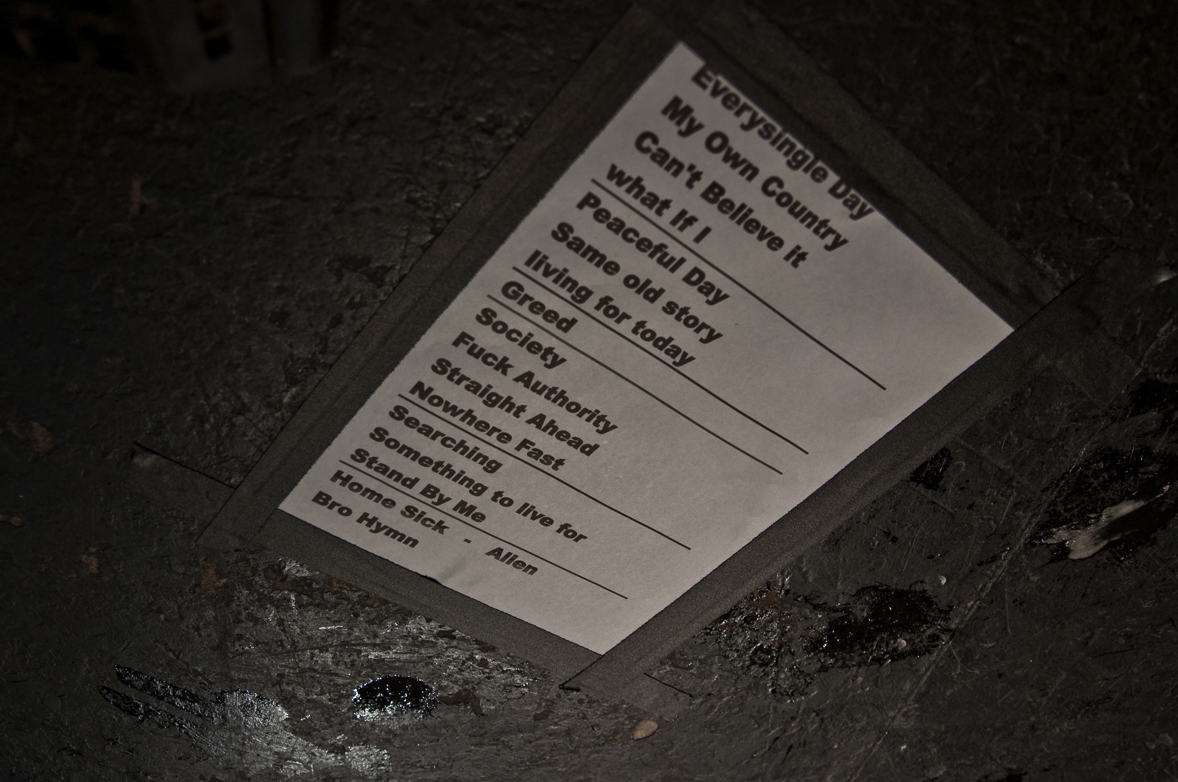 Pennywise performing at Commodore Ballroom, Vancouver - concert photography by Michael Caswell