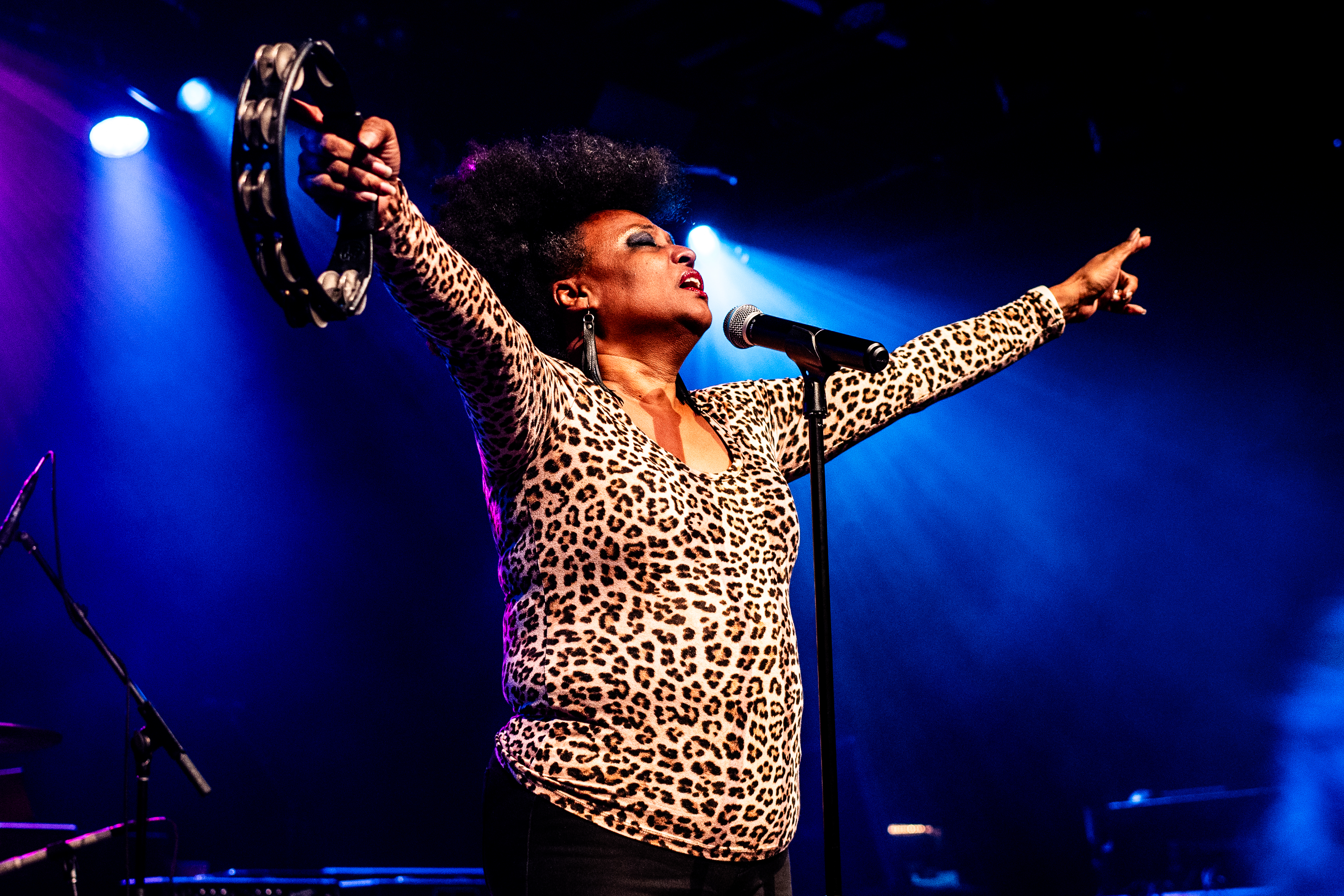 The Bellrays performing at Commodore Ballroom, Vancouver - concert photography by Michael Caswell