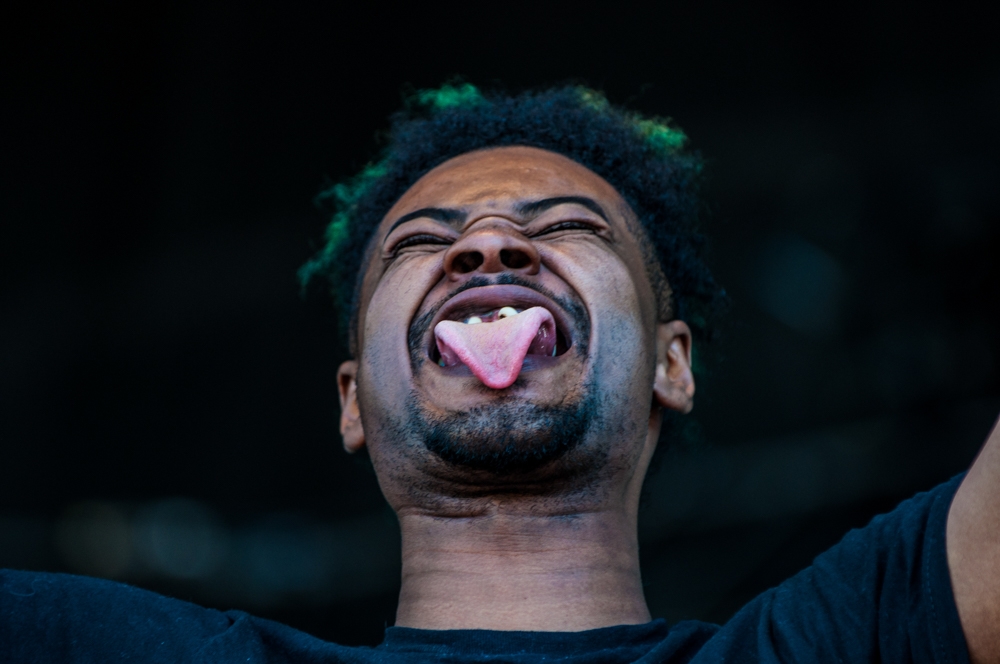 Danny Brown @ Squamish Festival