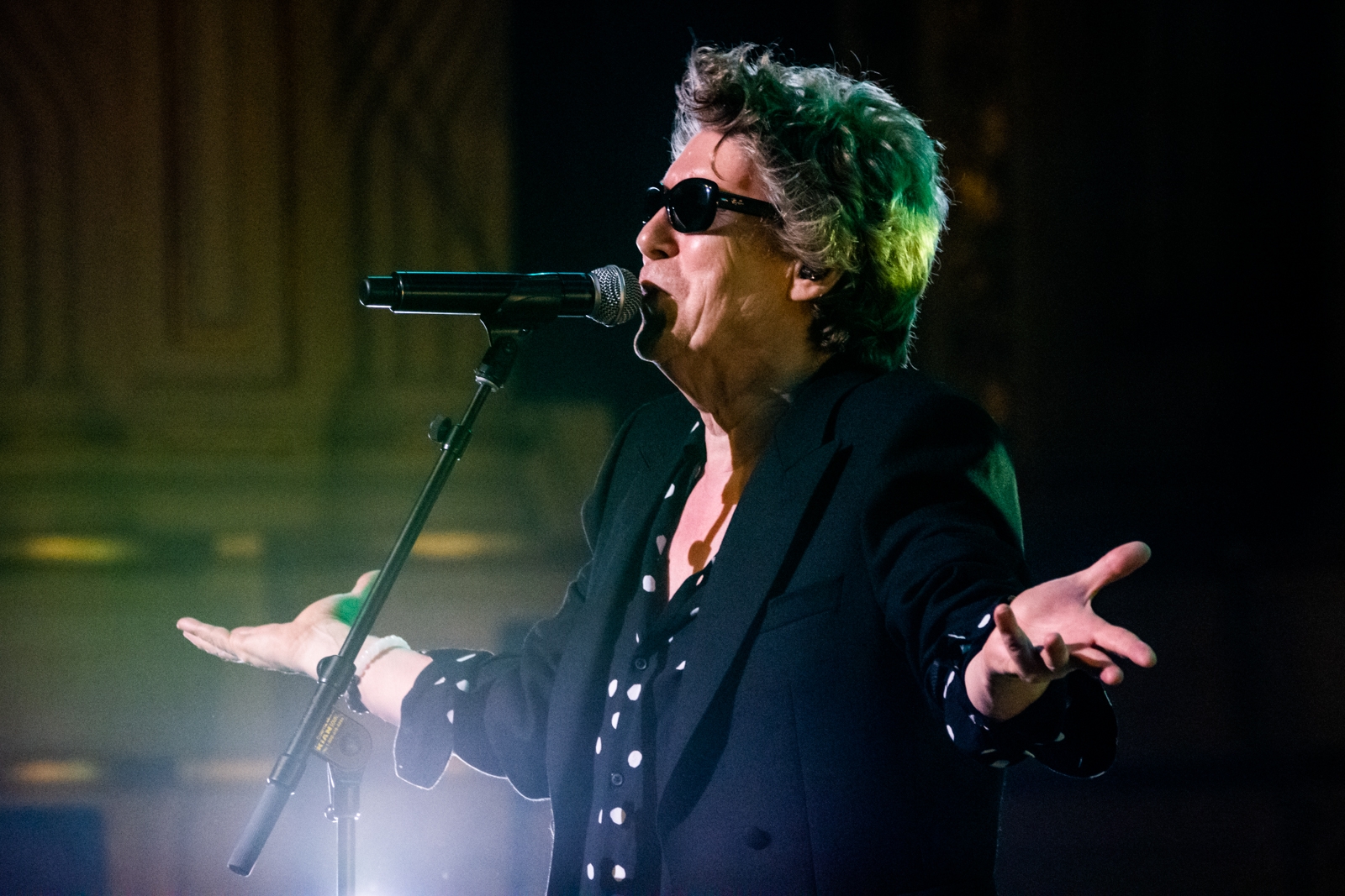 The Psychedelic Furs @ Orpheum Theatre - July 31 2019